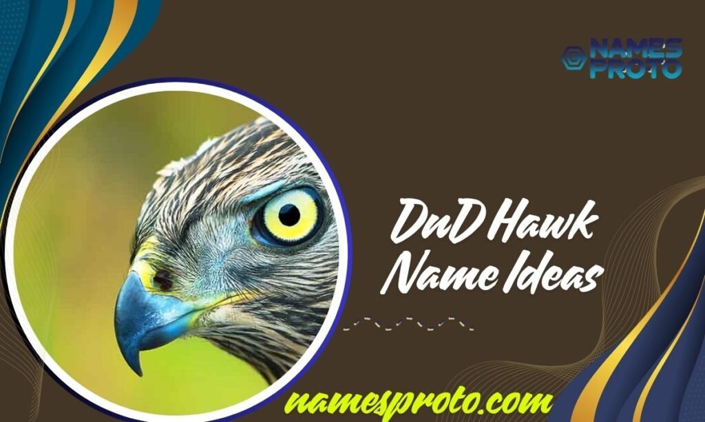 DnD Hawk Name Ideas
