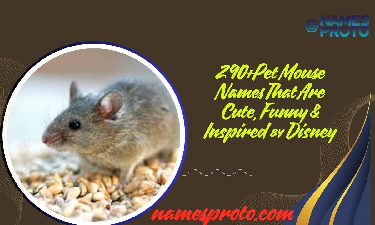 290+Pet Mouse Names That Are Cute, Funny & Inspired by Disney