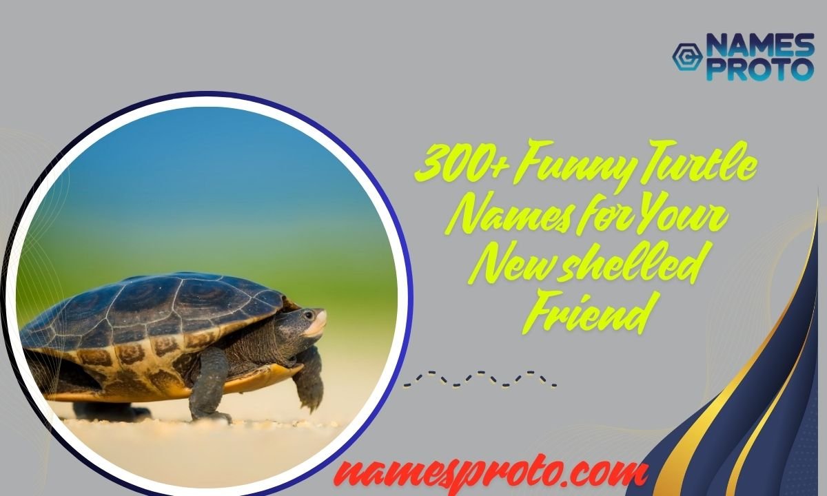 300+ Funny Turtle Names for Your New shelled Friend