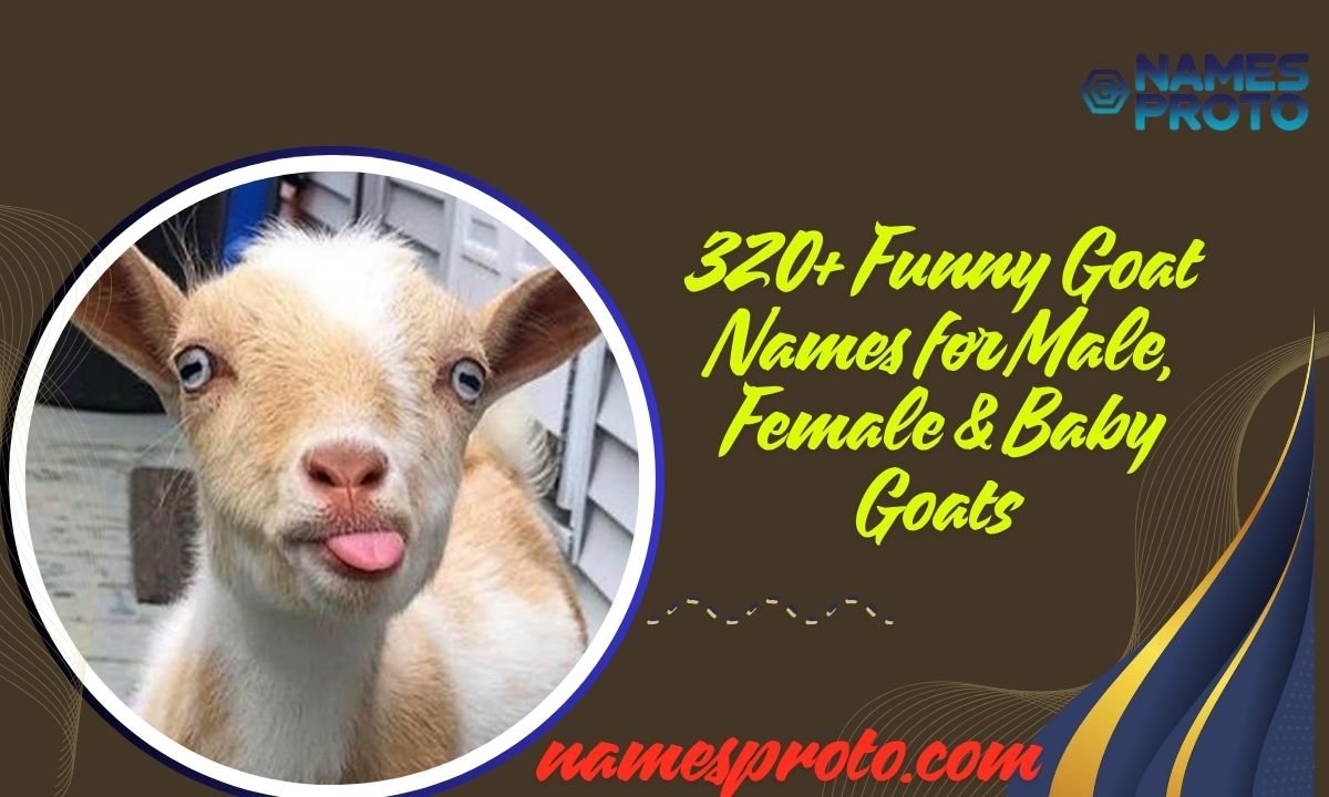 320+ Funny Goat Names for Male, Female & Baby Goats 