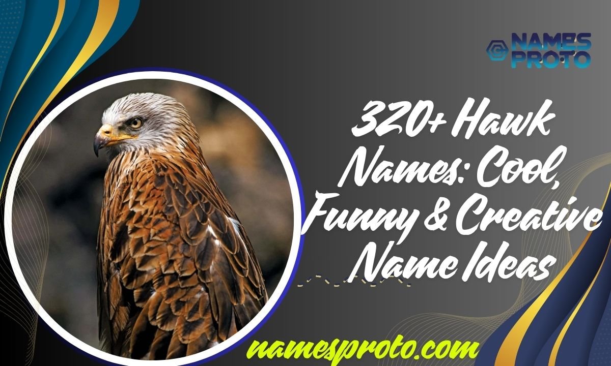 320+ Hawk Names Cool, Funny & Creative Name Ideas